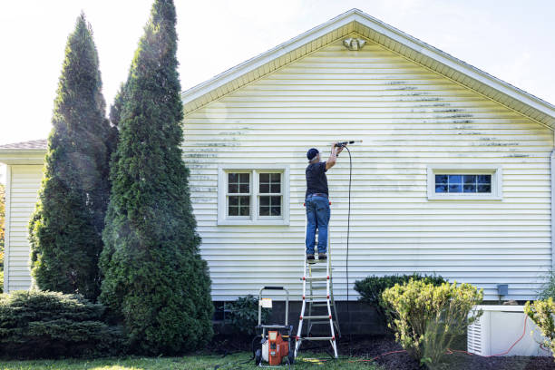 Boat and Dock Cleaning in Hayfork, CA